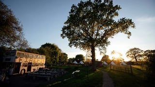 Camp, yoga and wedding retreat, Norfolk