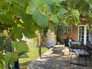 Norfolk broads - self contained annexe