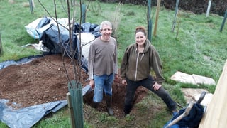Agro-ecological forest garden, Devon