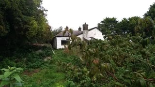 Smallholding, rural Northern Ireland