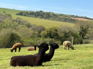 5 Star Luxury Cottages, Cornwall