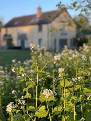 Rural retreat in Cambridge