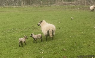 Aberdeen Farmstay