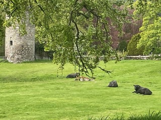 Aberdeen Farmstay