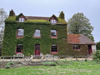 Alpaca farm on the Isle of Wight