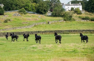 Peaceful. Welcoming. Family Farm Estate