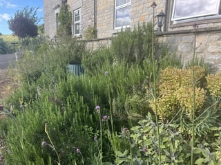 Re-Naturing and outdoor help, Somerset