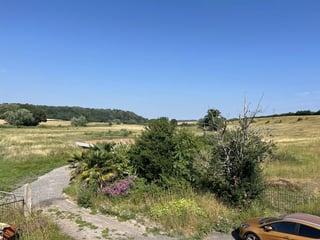 Re-Naturing and outdoor help, Somerset