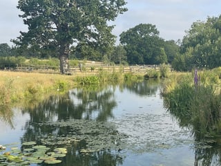 Retreat and animal farm, Essex