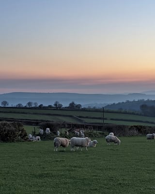 Farmstay and barn restoration, Wales