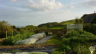 Organic homestay on a Dorset Farm