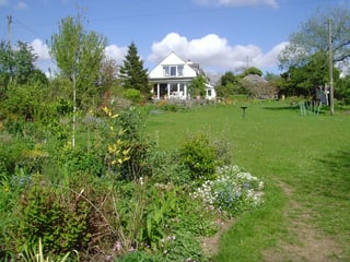 Dog rescue homestay, south Devon