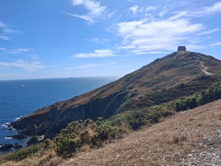 Local area