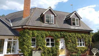Eco Organic Farmstay in the Countryside