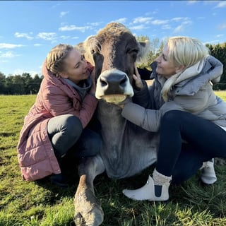 Eco Organic Farmstay in the Countryside