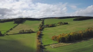 Traditional Gardens and Organic Farm