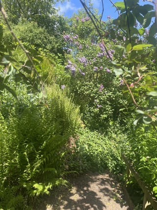 Traditional Gardens and Organic Farm