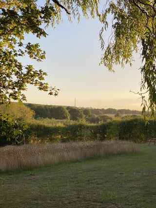 Local area