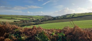 Local area