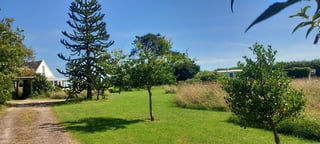 Gardening help in Devon