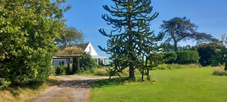 Gardening help in Devon