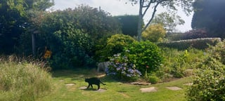 Gardening help in Devon