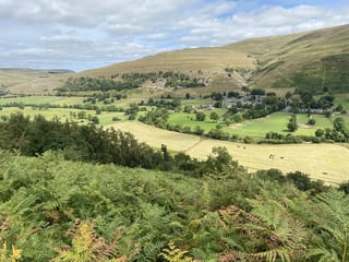 Local area