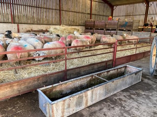 Pitch on a family farm, Shropshire