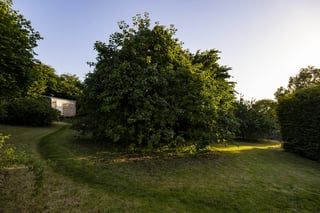 Shepherd's hut on a Bristol Farm