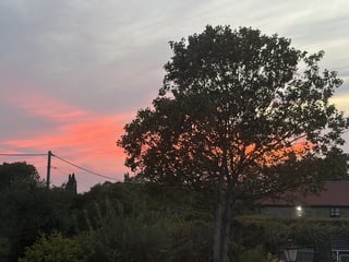 Help at a Bedfordshire cottage.