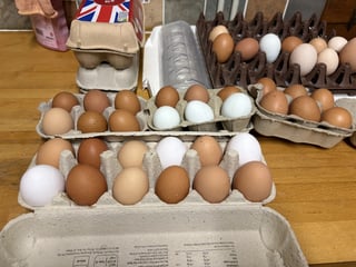 Help at a Bedfordshire cottage.