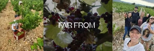 What it's really like to be a vineyard volunteer