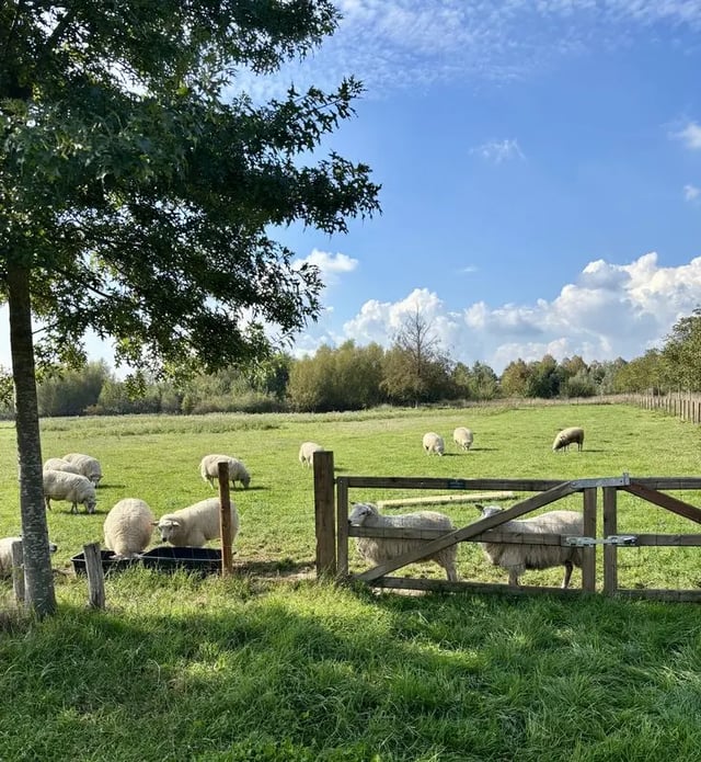 How to find volunteers for farm tasks in the UK