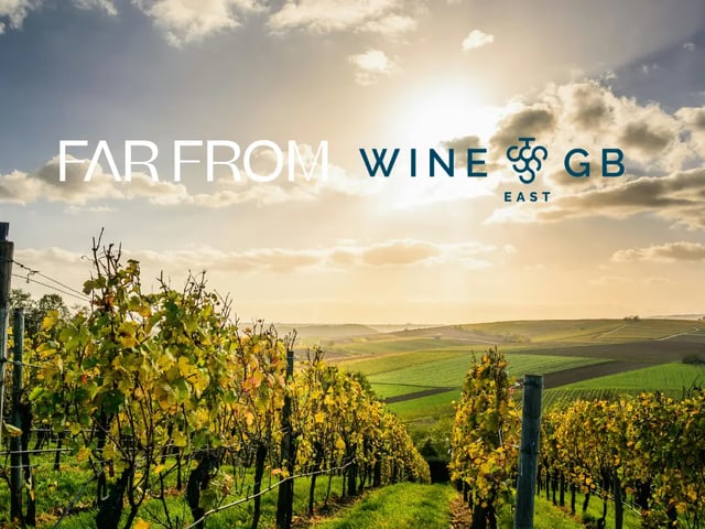 Wine harvest volunteering UK: FarFrom partners with WineGB East