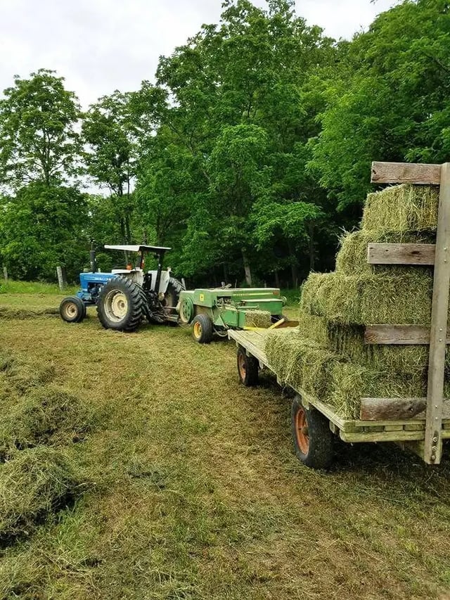 Why farm owners are choosing FarFrom for seasonal help