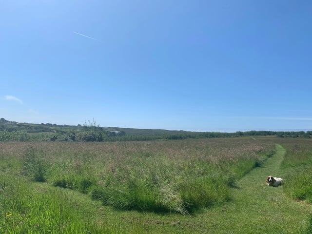 Holiday cottage in Cornwall - Photo 8