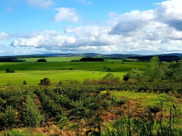 Organic Farm in the Clun hills