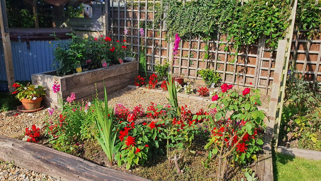 Norwich homestay needs garden help - Photo 9