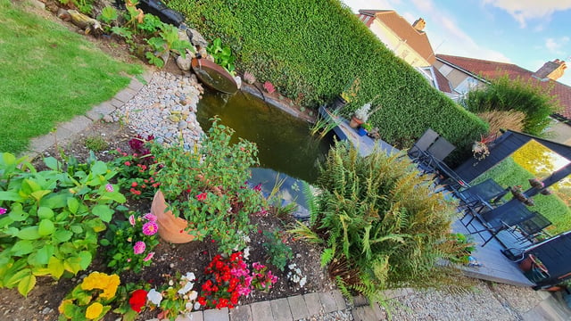 Norwich homestay needs garden help - Photo 11