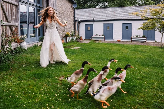 Countryside venue in Herefordshire hills - Photo 22