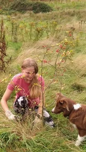 Smallholding, rural Northern Ireland - Photo 6