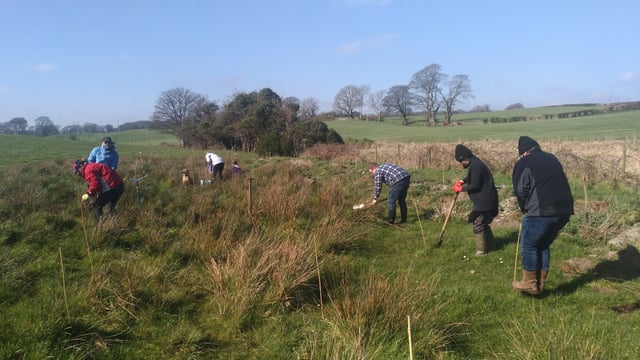 Smallholding, rural Northern Ireland - Photo 11