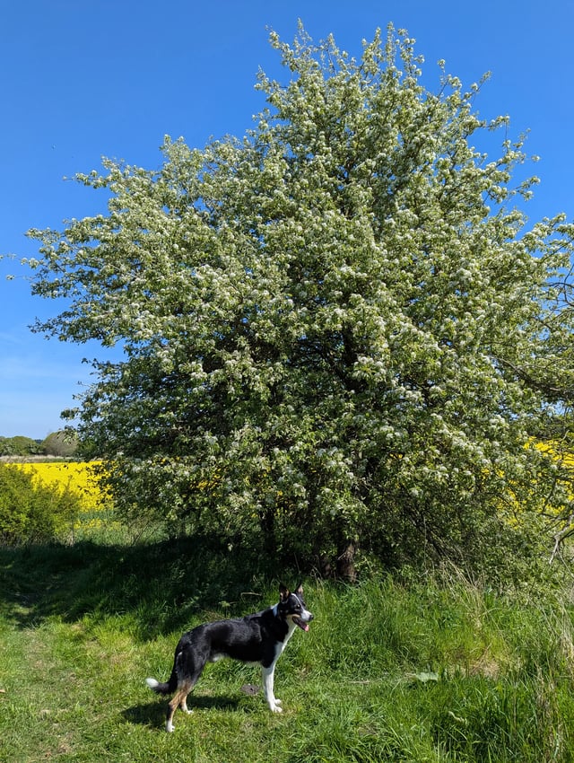 Rural farm stay in Scotland - Photo 3