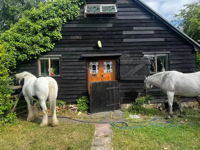 Countryside estate with animals