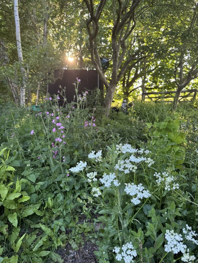 Rural retreat in Cambridge - Photo 9