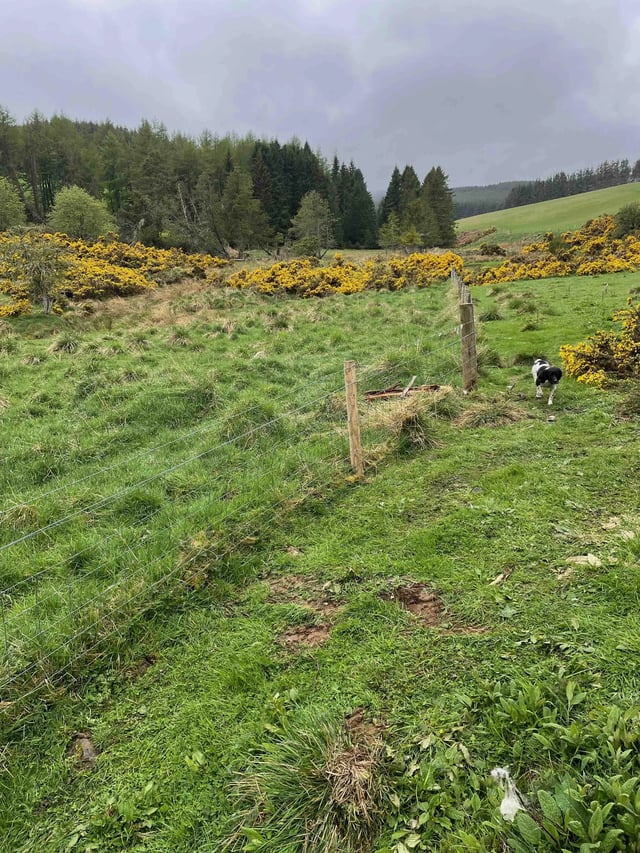 Aberdeen Farmstay - Photo 7