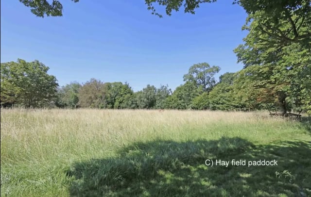 Country House in the Chiltern Hills - Photo 7