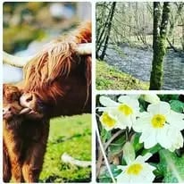 Hotel and Lodges, Scotland - Photo 9