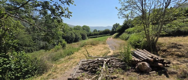 Stay in a pub, in the Welsh hills - Photo 2