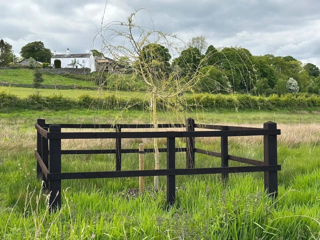 Peaceful. Welcoming. Family Farm Estate - Photo 10